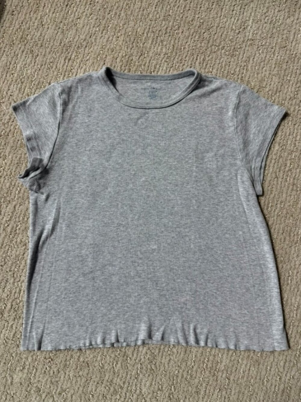 Brandy Melville Grey Baby Tee